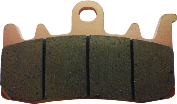 Twin Power 21-Up Pan America and Sportster S Sintered Brake Pads Replaces H-D 41300227 Front